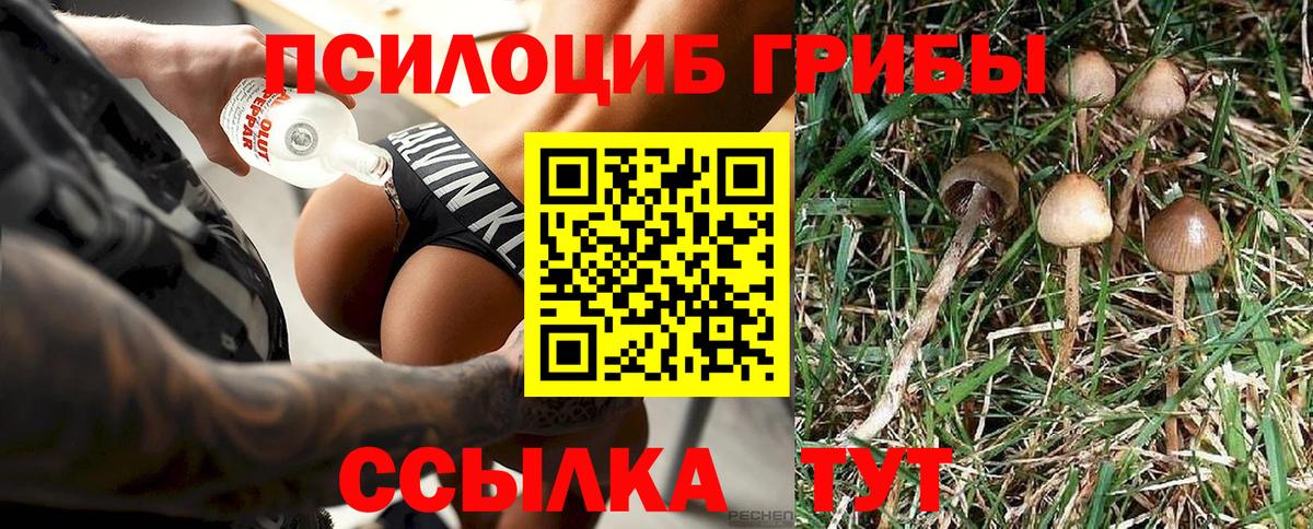 Екатеринбург  Псилоцибиновые грибы мицелий  Вход с VPN 